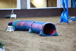 SBM_006512