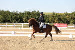 SBM_007060