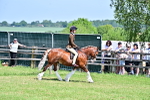 SBM_15268
