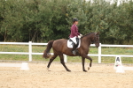 Class 8 - Novice 27 Champs portfolio