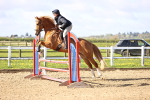 SBM_002939