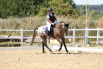 SBM_002644