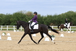 SBM_014178