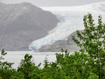 Juneau and Humpbacked Whales-275