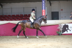 SBM_02996