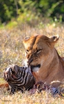 IMG_0862 Nakuru