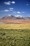 Volcan Tatio & Vega de Putana wetland, Chile