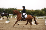 SBM_006842