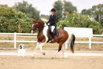 SBM_008763