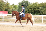 SBM_006575