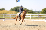 SBM_006591