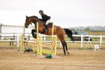 SBM_025055