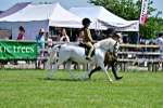 SBM_05783