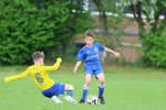 Ibis Youth Under 10's portfolio