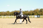SBM_000208
