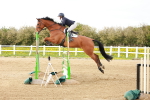 SBM_002726