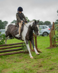 Dunblane show-342