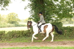 SBM_66338