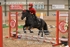 BPP_9903