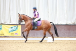 SBM_009049