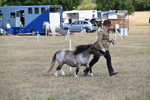 WJ6_6853