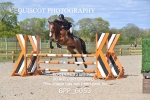 BPP_6053