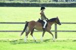 SBM_50273