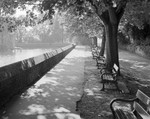 1942 - Bishops Palace Moat