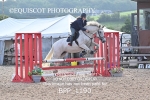 BPP_1190