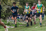 Dovedale-990