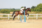 SBM_001131