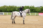 SBM_005938
