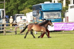 SBM_00505