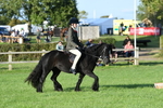 SBM_54081