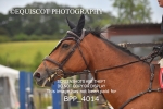 BPP_4014