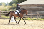 SBM_000714