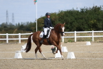SBM_020415