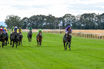 070826-Race 6-Great Profit-2147