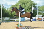 Cls 16, 1 Star Bronze 1.15m portfolio