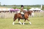SBM_09570