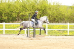 SBM_004354