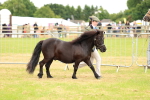 SBM_03504
