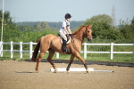 SBM_007341