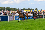 300826-Race 5-Harb-1122
