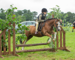 Dunblane show-93
