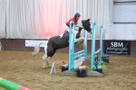 SBM_003731