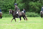 WJ7_3519