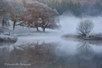 The Misty Haven
