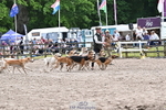 250524A-152314-12709