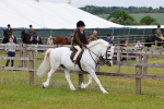 SBM_08476